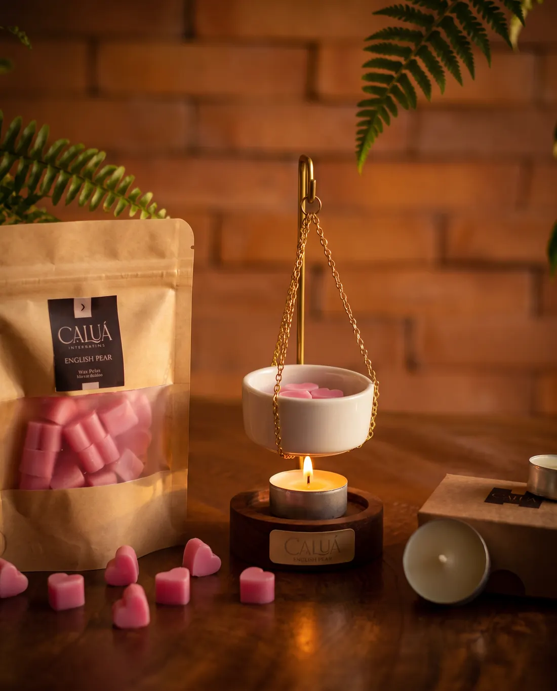 Difusor e wax melts